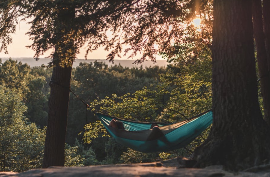 screenshot-2021-03-20-at-11-48-15