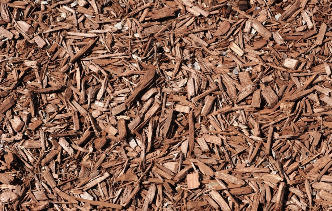 screenshot-2021-05-28-at-08-46-01