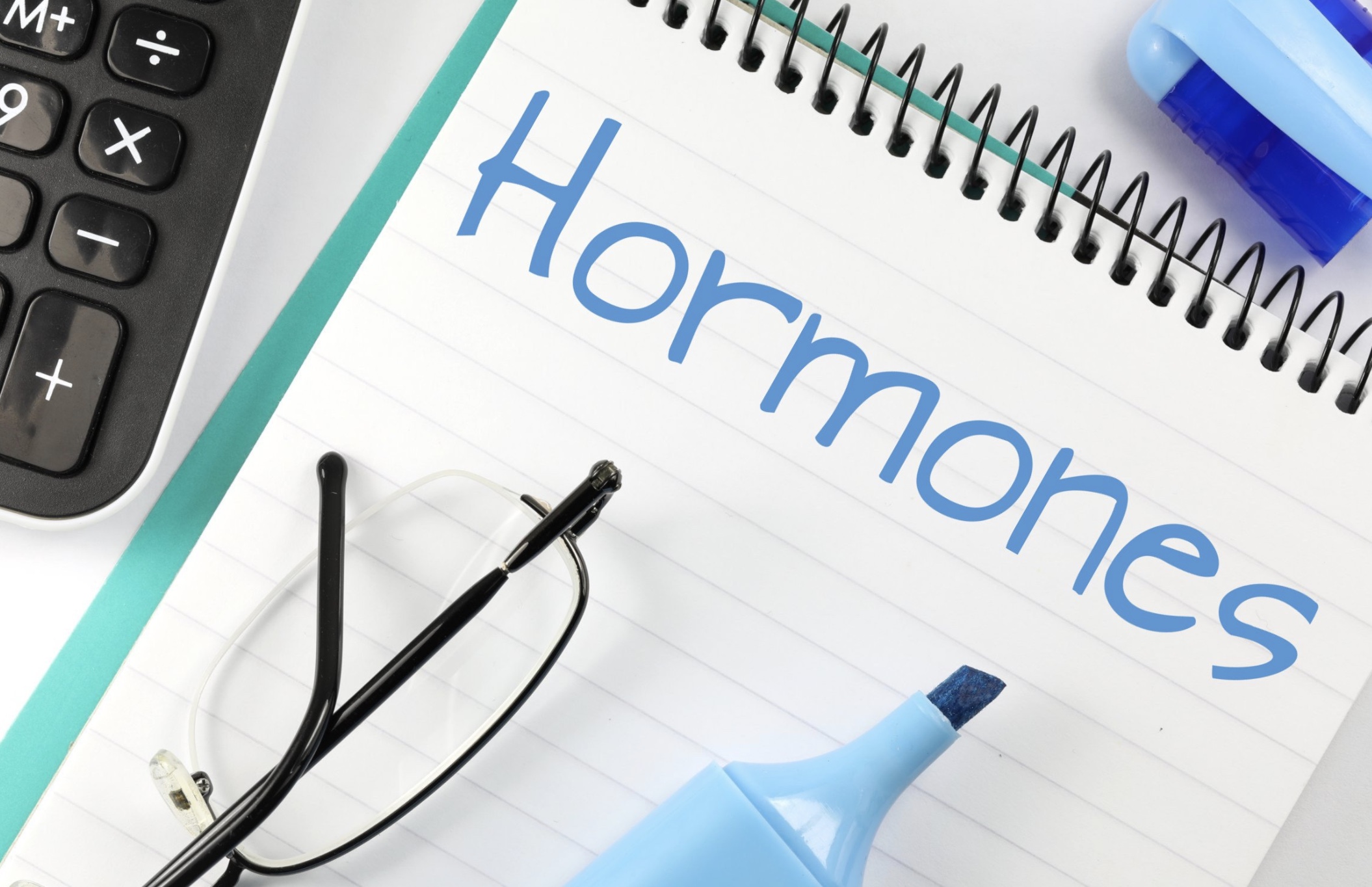 how-do-hormones-change-throughout-the-year-eleven-magazine