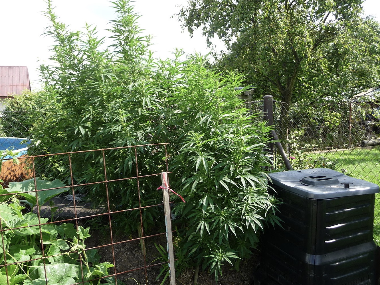 screenshot-2021-08-04-at-10-16-40