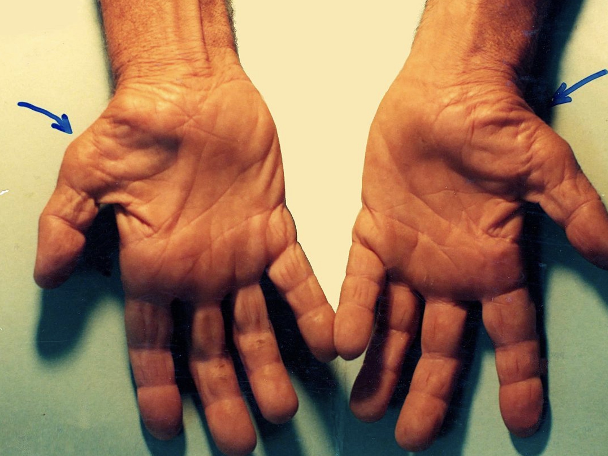 screenshot-2021-08-23-at-15-55-57