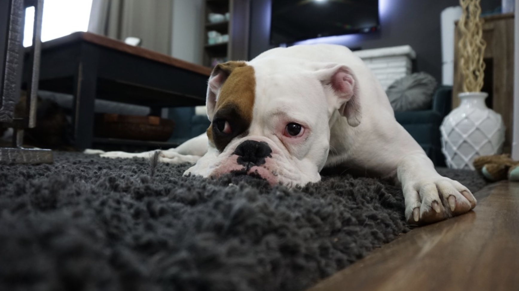 screenshot-2021-12-14-at-14-52-33