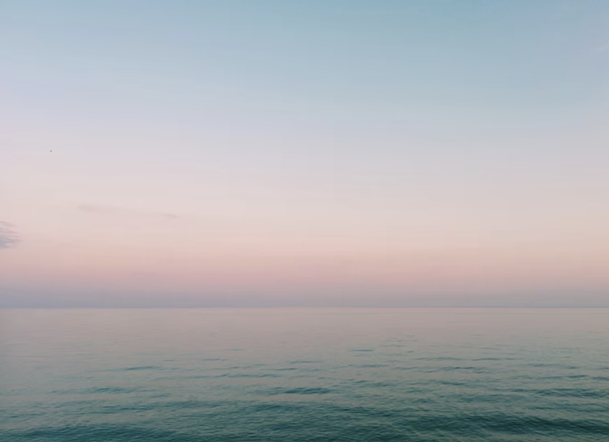 screenshot-2021-12-22-at-16-31-59