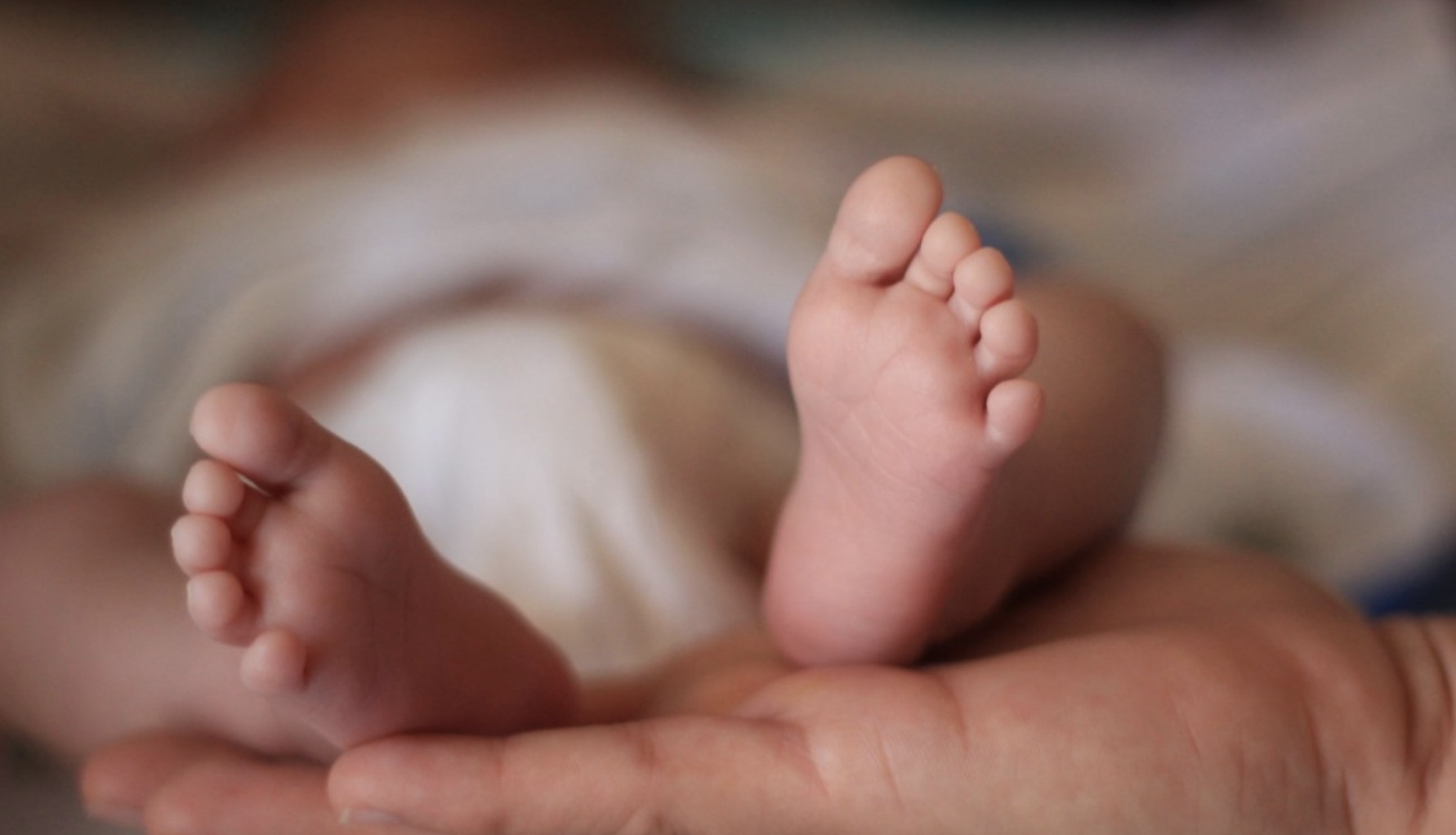 screenshot-2021-12-30-at-09-06-02