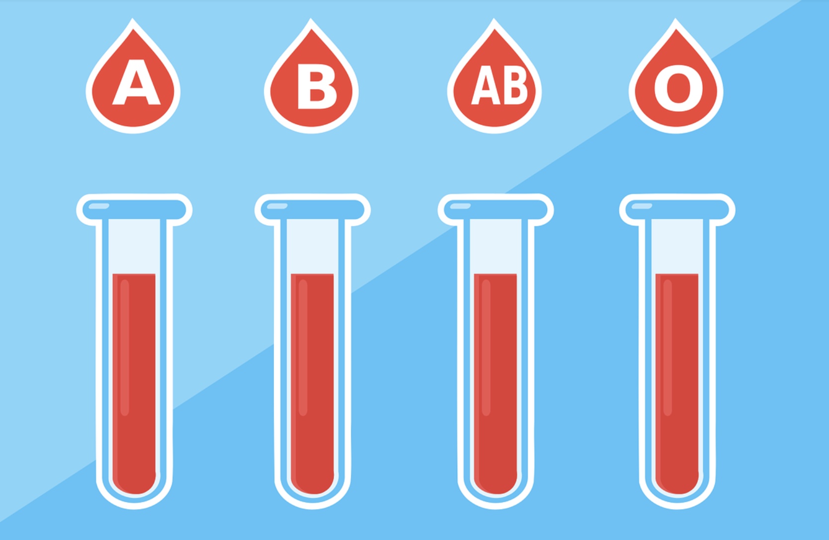 Guide To The Different Blood Types