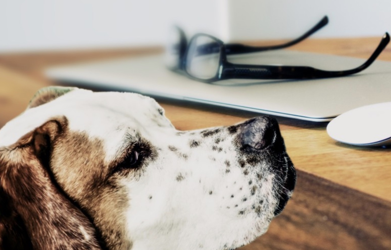 screenshot-2022-02-14-at-17-35-07