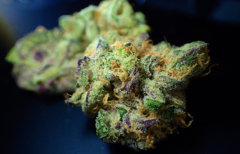 screenshot-2022-02-20-at-11-56-08