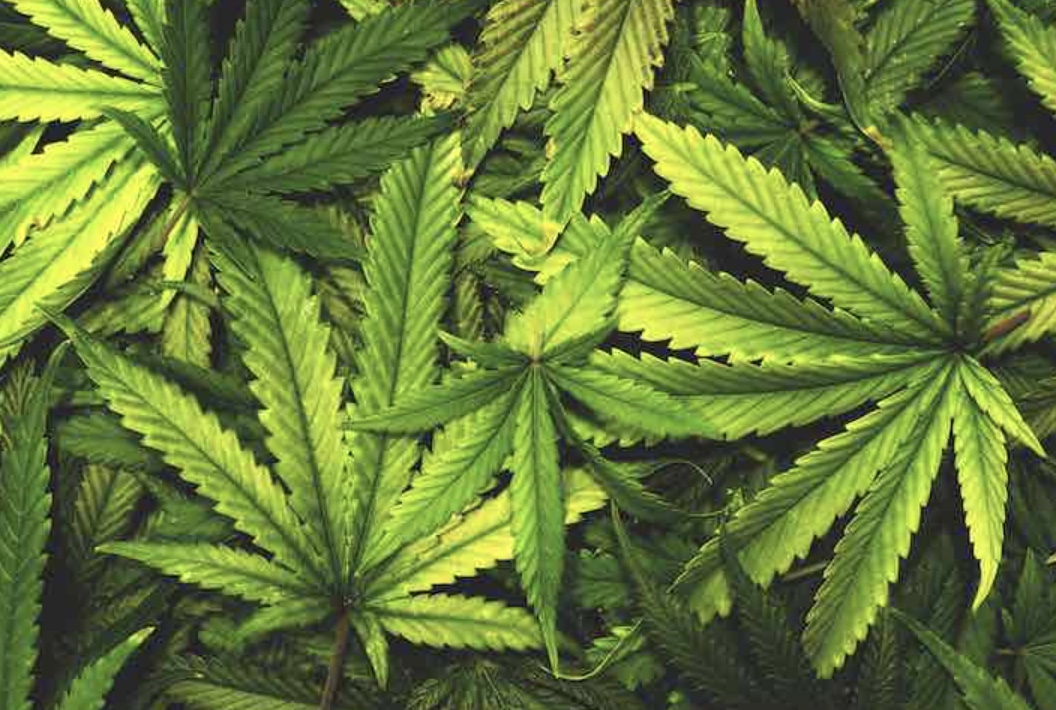 screenshot-2022-02-22-at-13-37-33