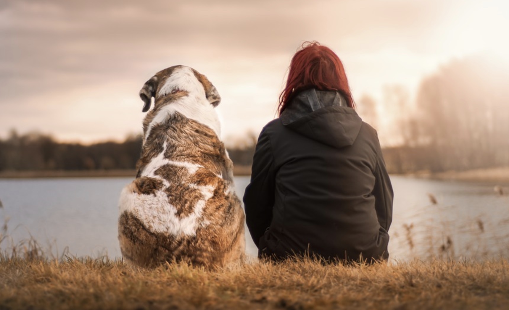 screenshot-2022-02-26-at-08-48-47