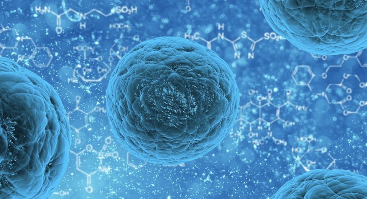 screenshot-2022-03-01-at-08-38-38