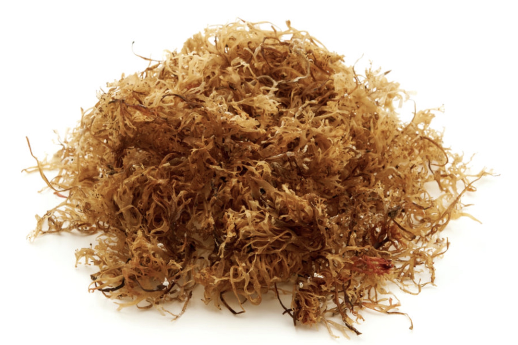 screenshot-2022-04-17-at-13-32-34