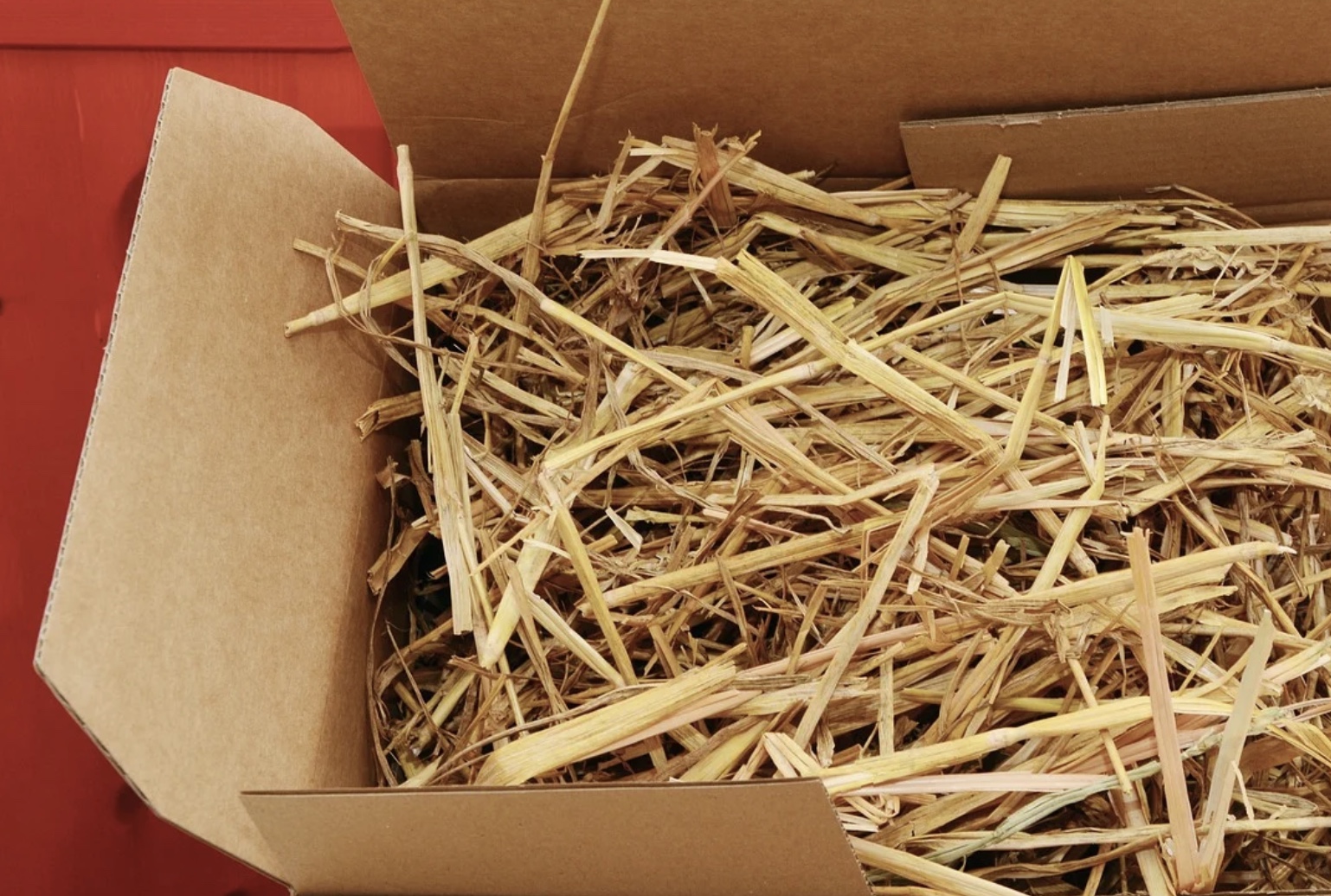 Why Packaging Is Important in Product Planning and Manufacturing?