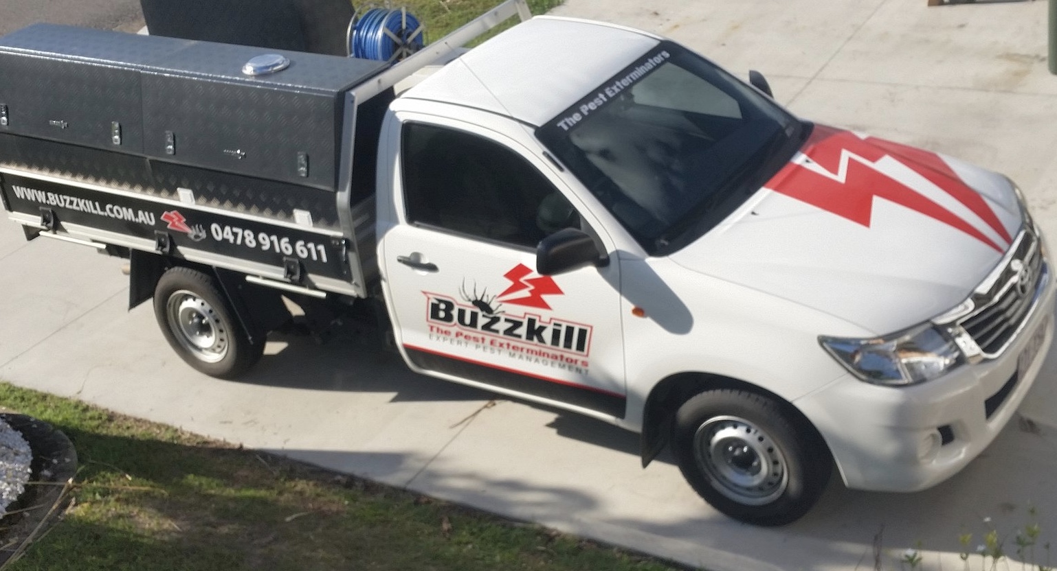 Pest Control How To Get Rid Of Maggots In Your Home Without Pesticides