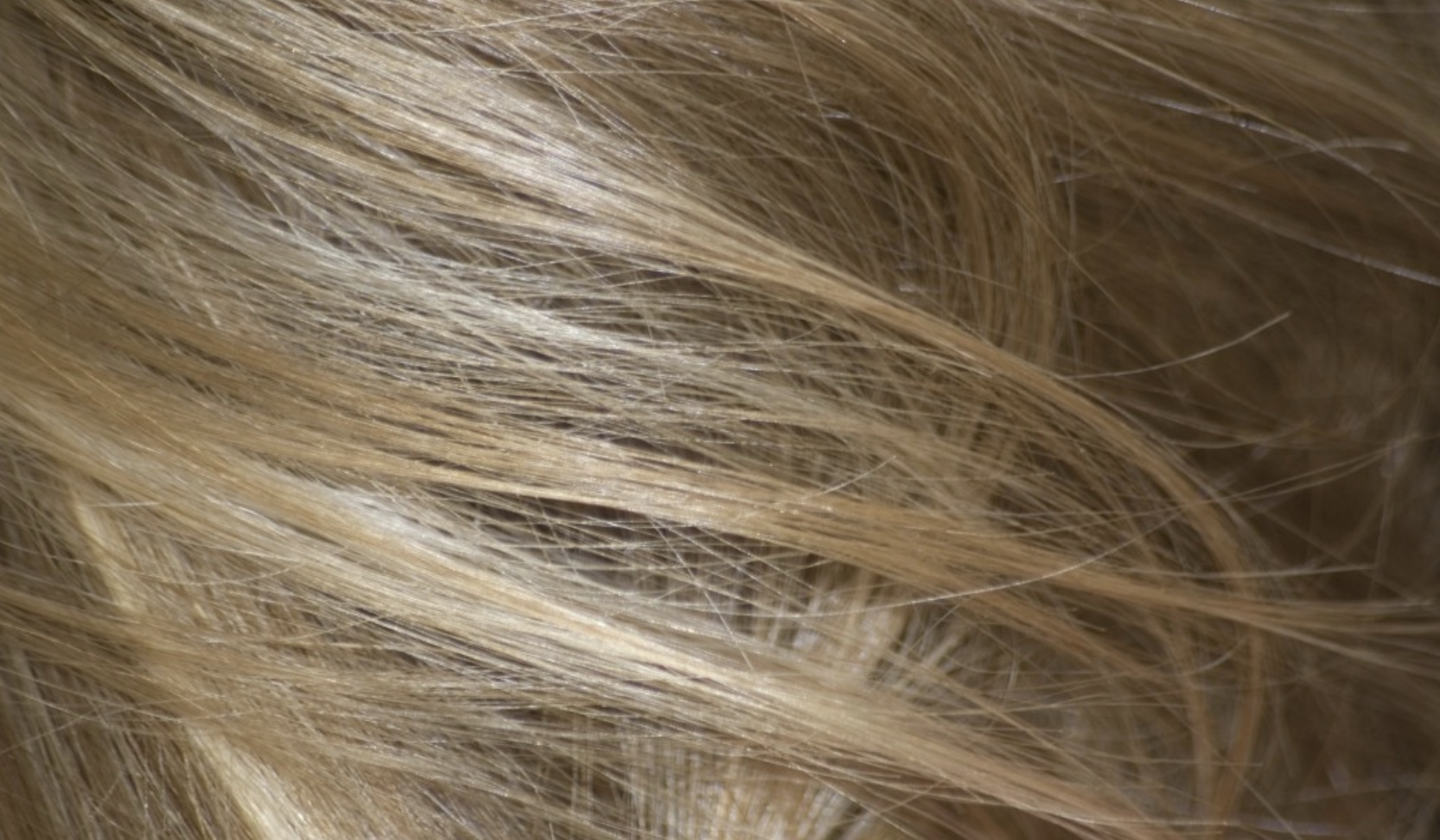 screenshot-2022-06-25-at-15-08-51