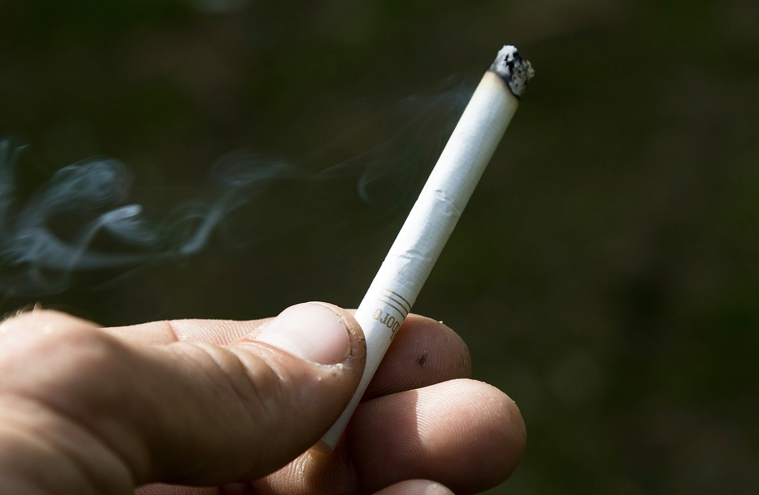 screenshot-2022-07-16-at-09-01-39