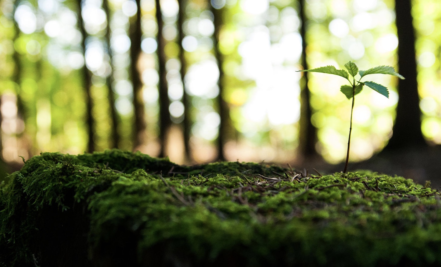 screenshot-2022-08-10-at-09-09-24