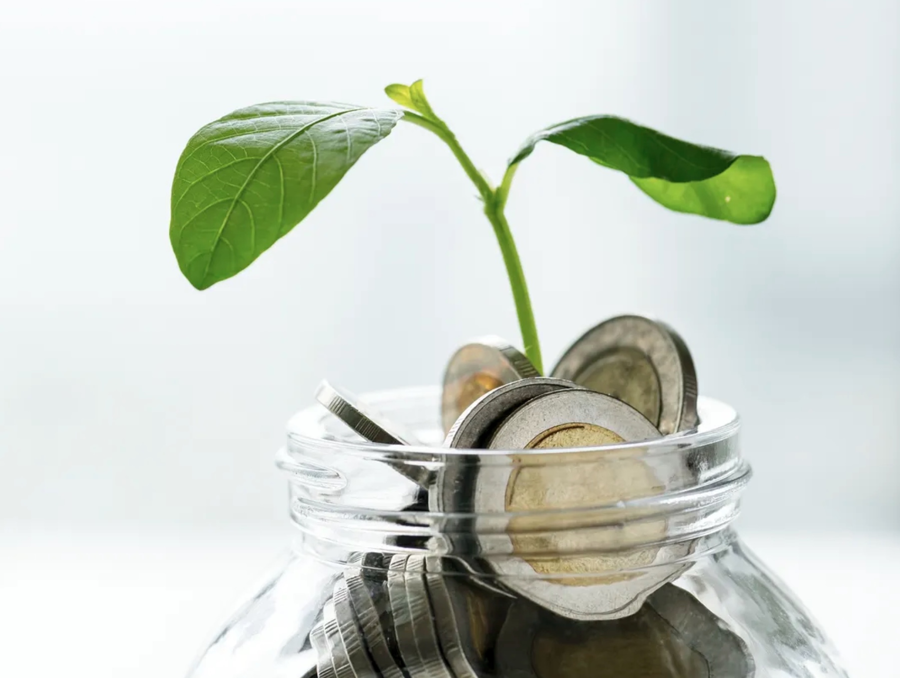 screenshot-2022-08-18-at-14-26-26