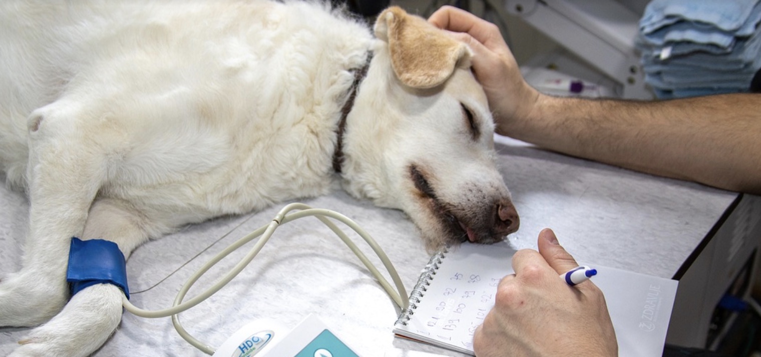 screenshot-2022-10-13-at-08-33-19