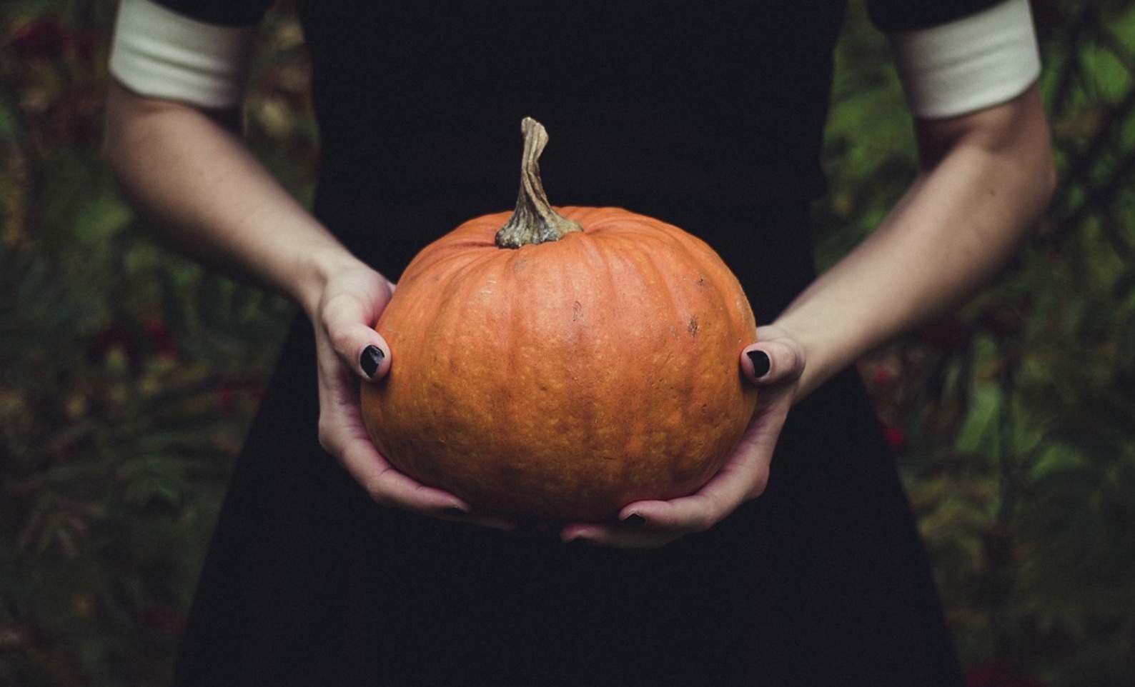 screenshot-2022-10-19-at-08-50-06