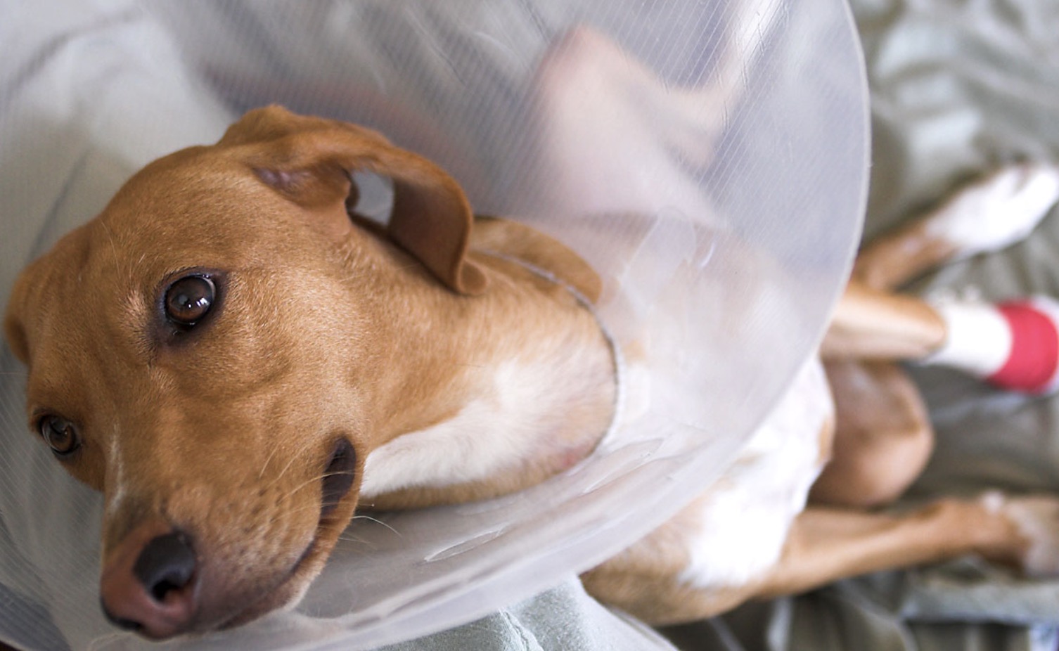 screenshot-2022-11-16-at-08-20-17