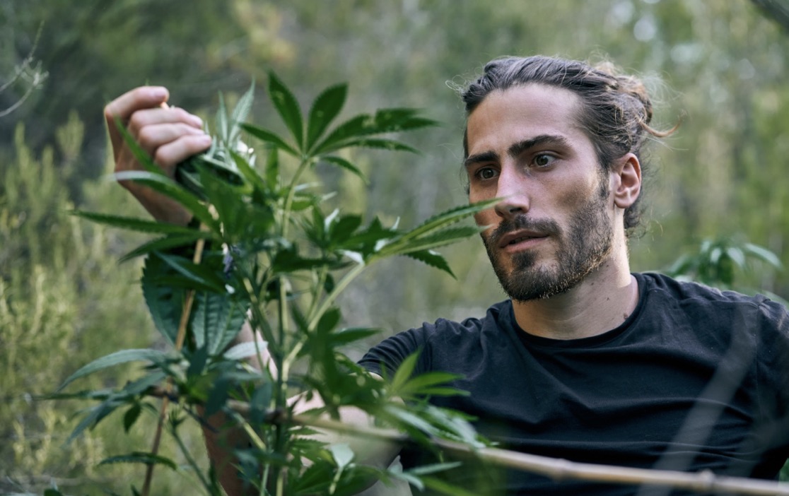 screenshot-2022-11-21-at-09-53-47