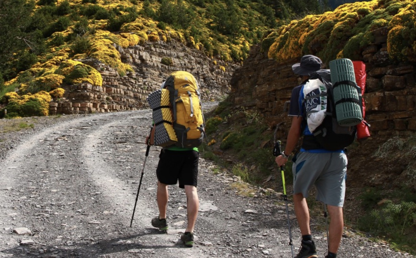 screenshot-2022-11-22-at-16-36-14