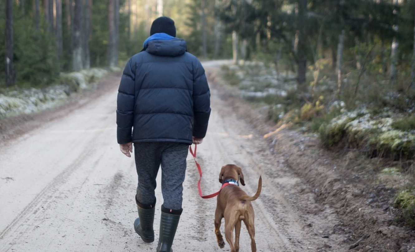 screenshot-2022-11-29-at-13-47-55