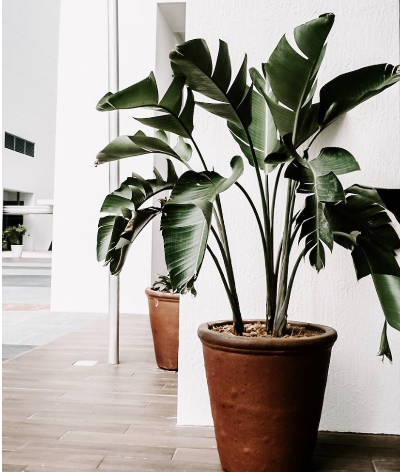 screenshot-2023-01-20-at-13-38-41