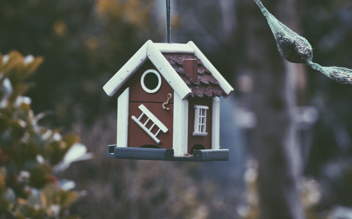 screenshot-2023-03-11-at-19-23-10