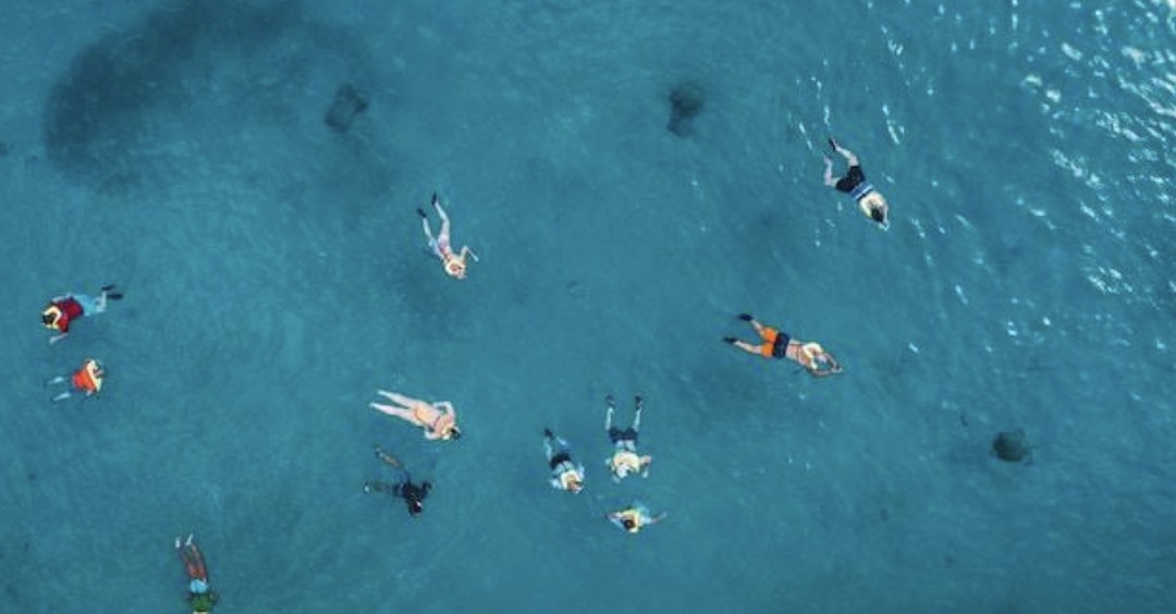 screenshot-2023-04-07-at-08-24-10