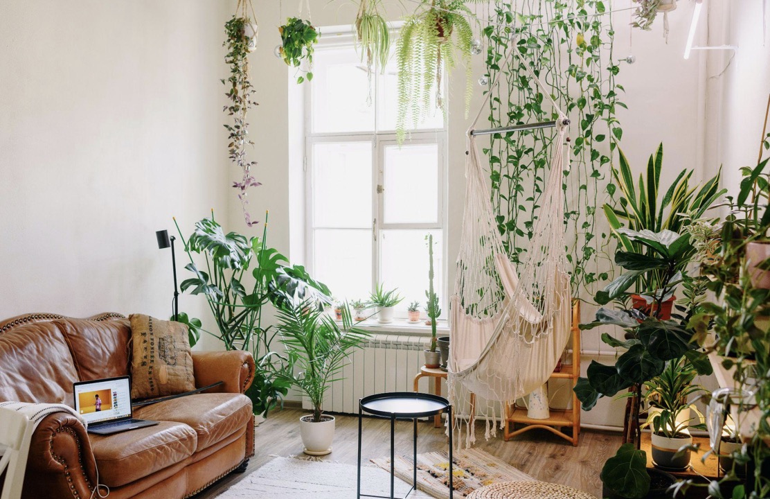 screenshot-2023-05-25-at-13-45-50