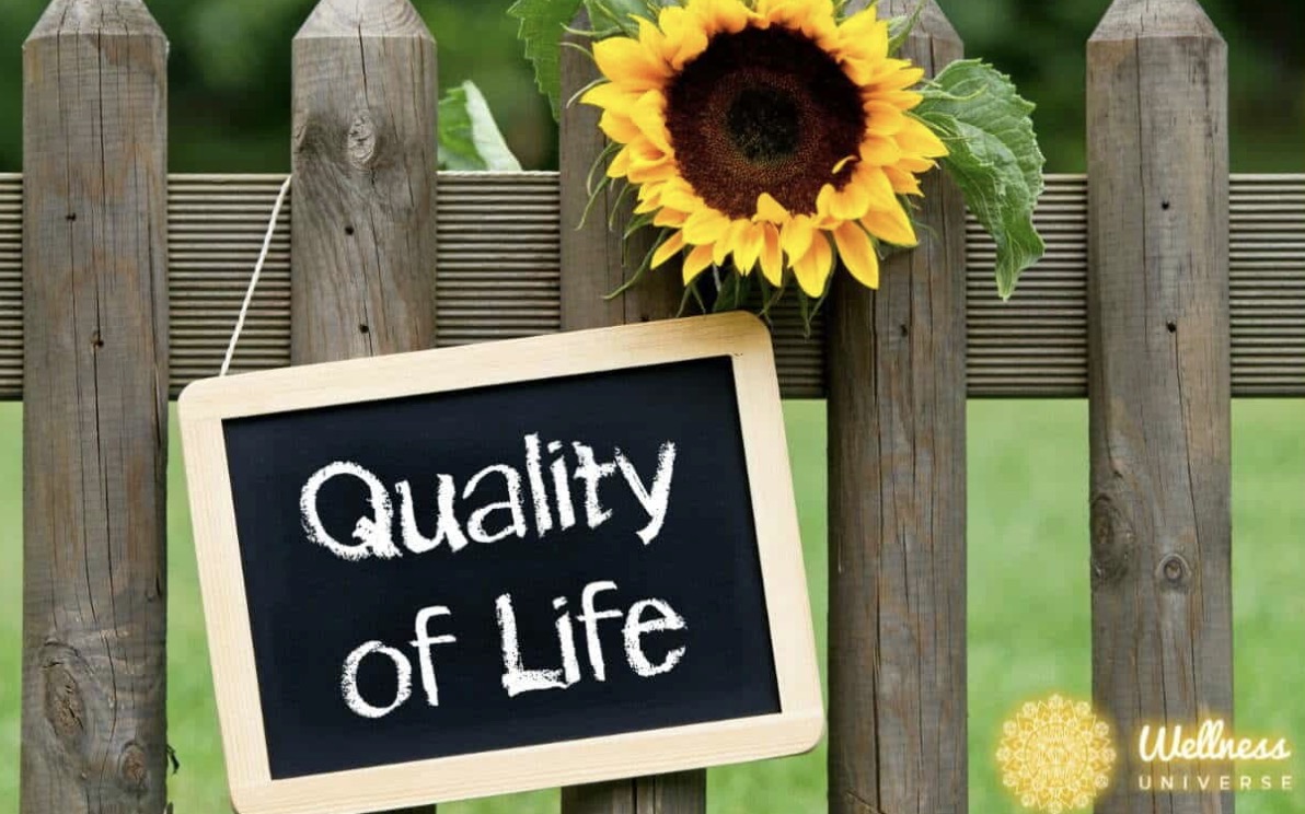 screenshot-2023-05-31-at-11-03-30