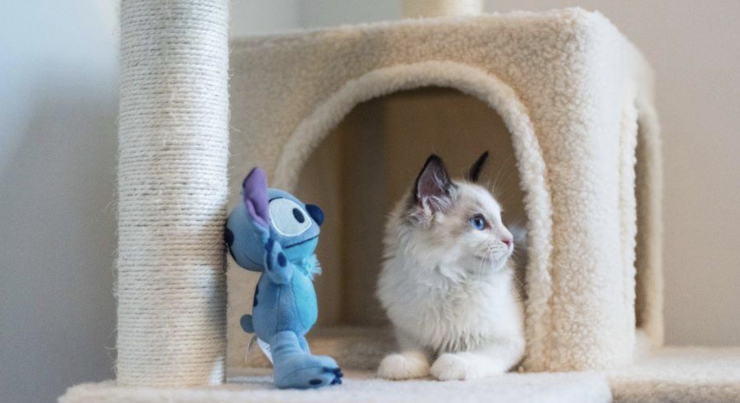 screenshot-2023-07-04-at-18-54-44