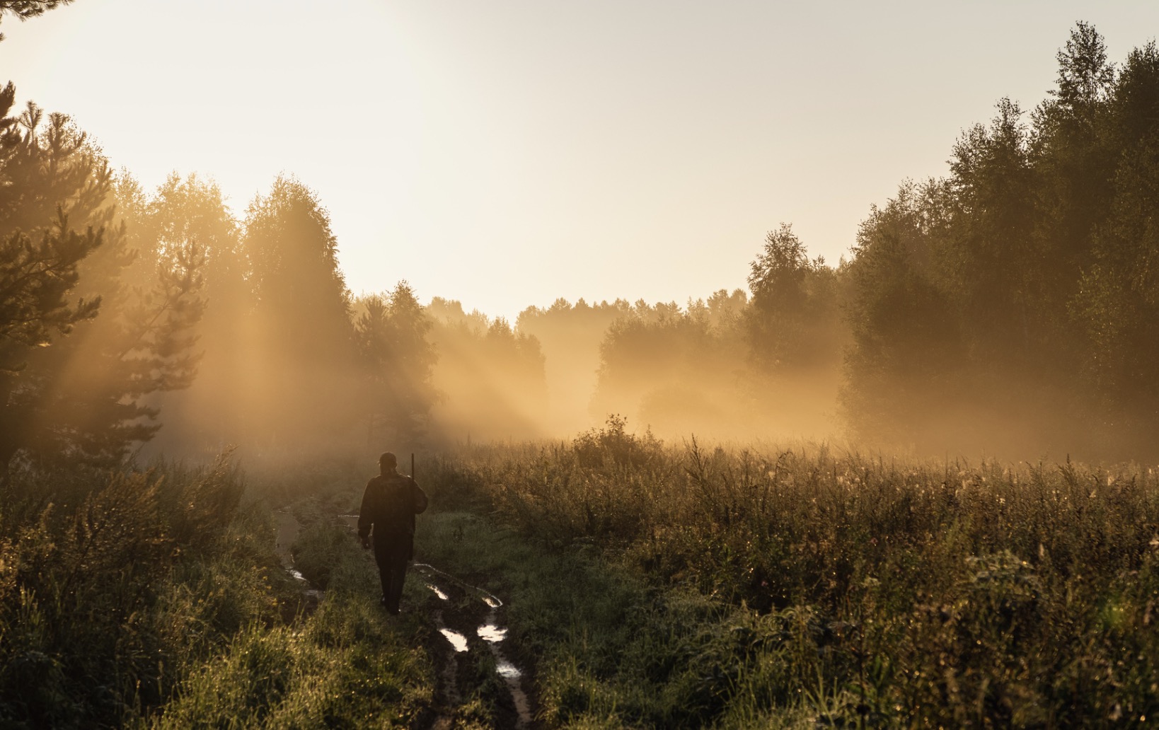 screenshot-2023-07-31-at-12-25-19