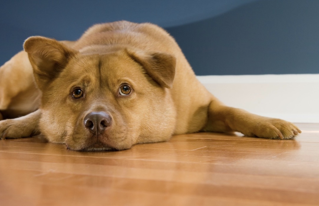 screenshot-2023-08-16-at-08-25-11