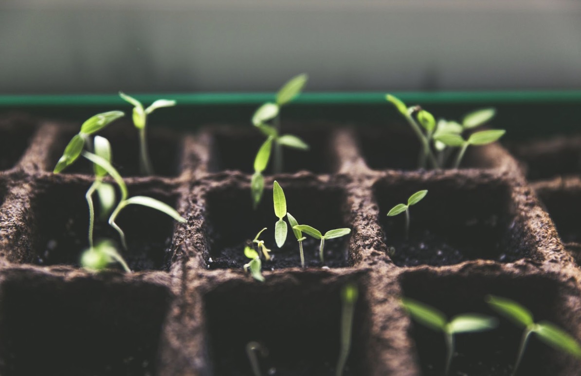 screenshot-2023-12-25-at-16-49-56