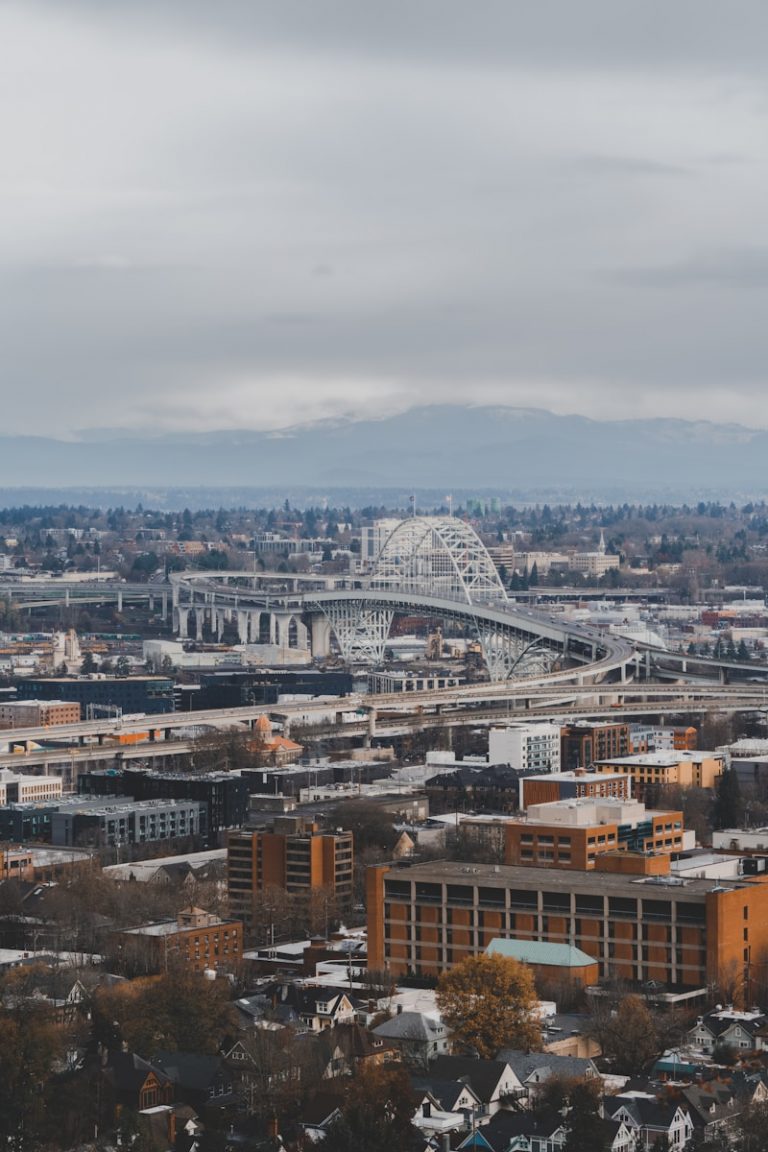 aerial photography of city with high-rise buildings viewing mountain under gray sky