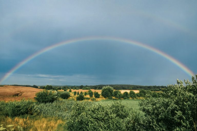 A double rainbow in the sky over a field